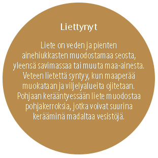 Liettynyt