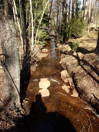 Vesilinniemi Antholminoja
