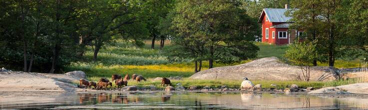 Banneri-suojelurahasto (3000 x 900 px) (1)