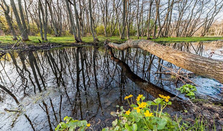 Suojelurahasto kevät-12